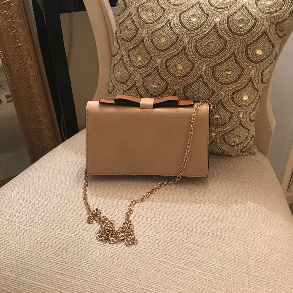 Francesca's clutch purse!