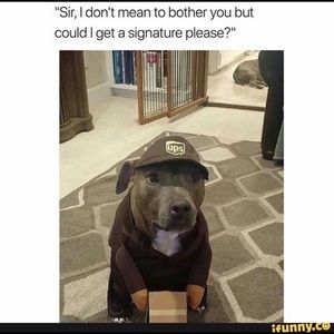 Meet your Posher, Nathan