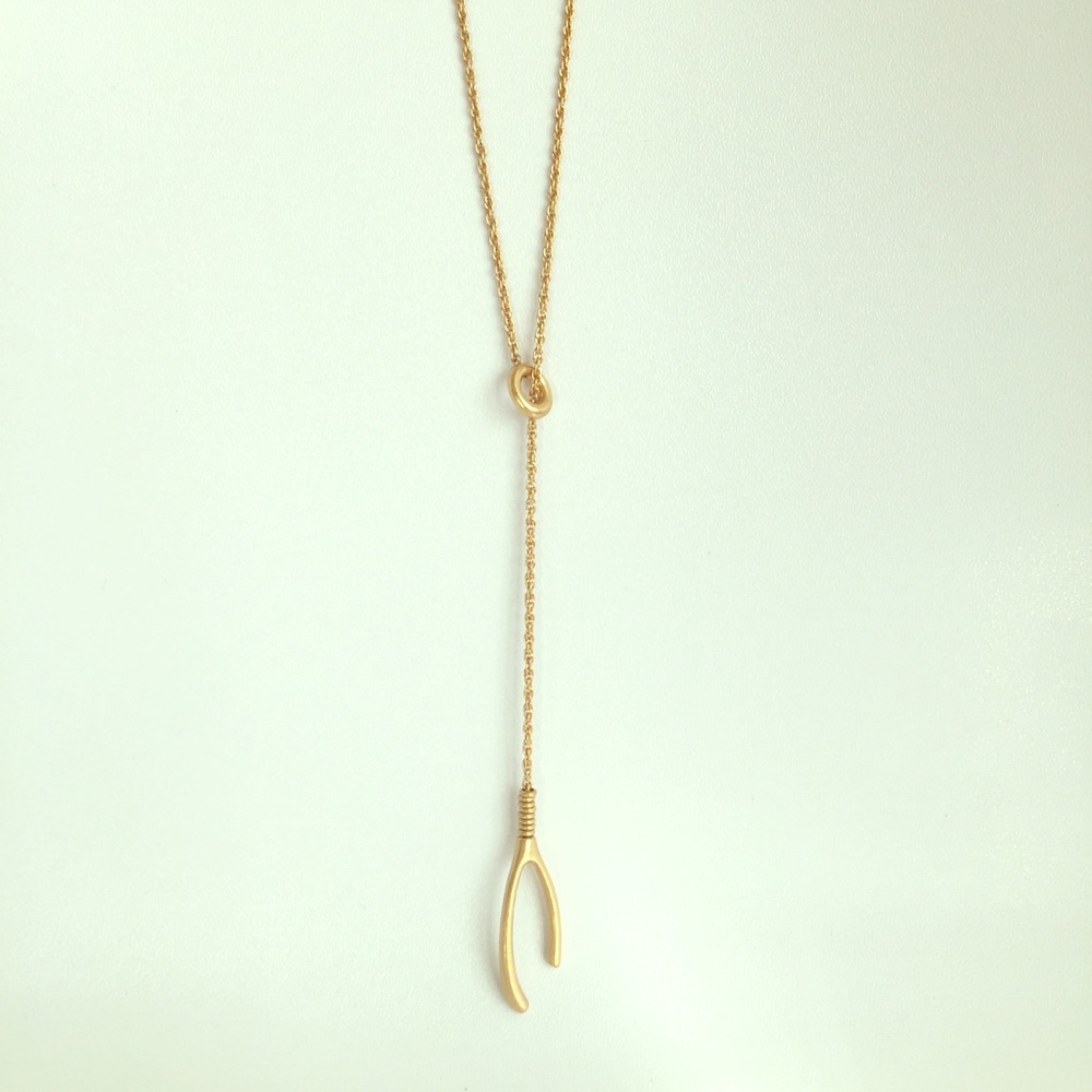 Madewell wishbone necklace.