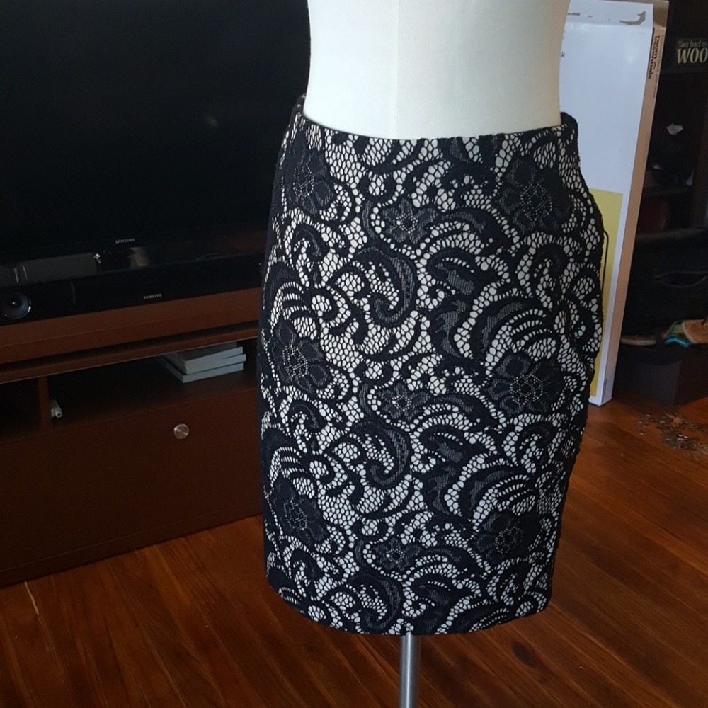 Ann Taylor Lace Skirt