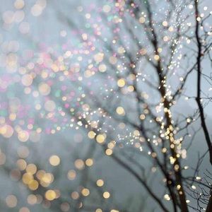 Meet your Posher, Tony