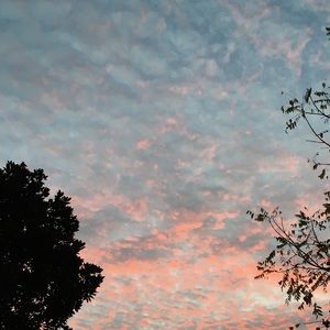 Meet your Posher, Antonio