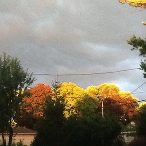 Meet your Posher, Greta