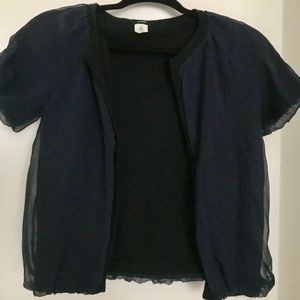 JCrew Cashmere/Silk Cardigan