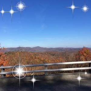 Meet your Posher, Ginger