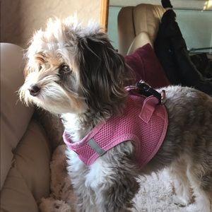 Meet your Posher, Judy