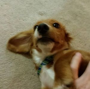 Meet your Posher, Matthew