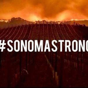 Meet your Posher, Chelsie