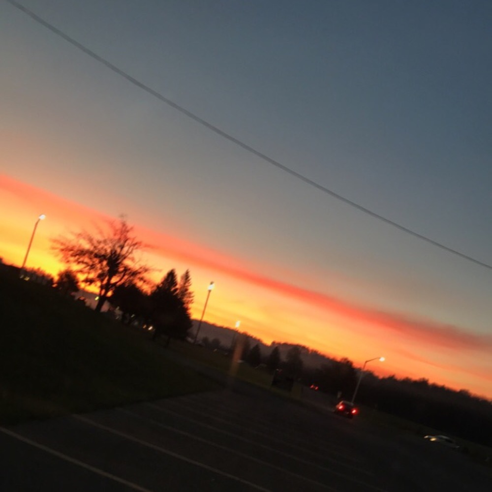 Meet your Posher, Randy