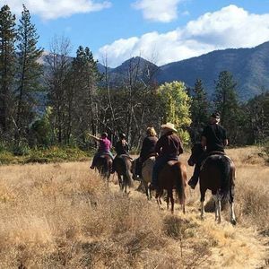 Meet your Posher, Janette