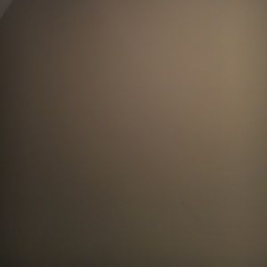 Meet your Posher, Ronna