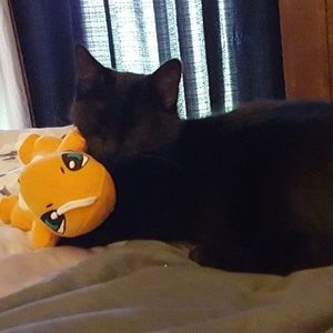 Meet your Posher, Candice