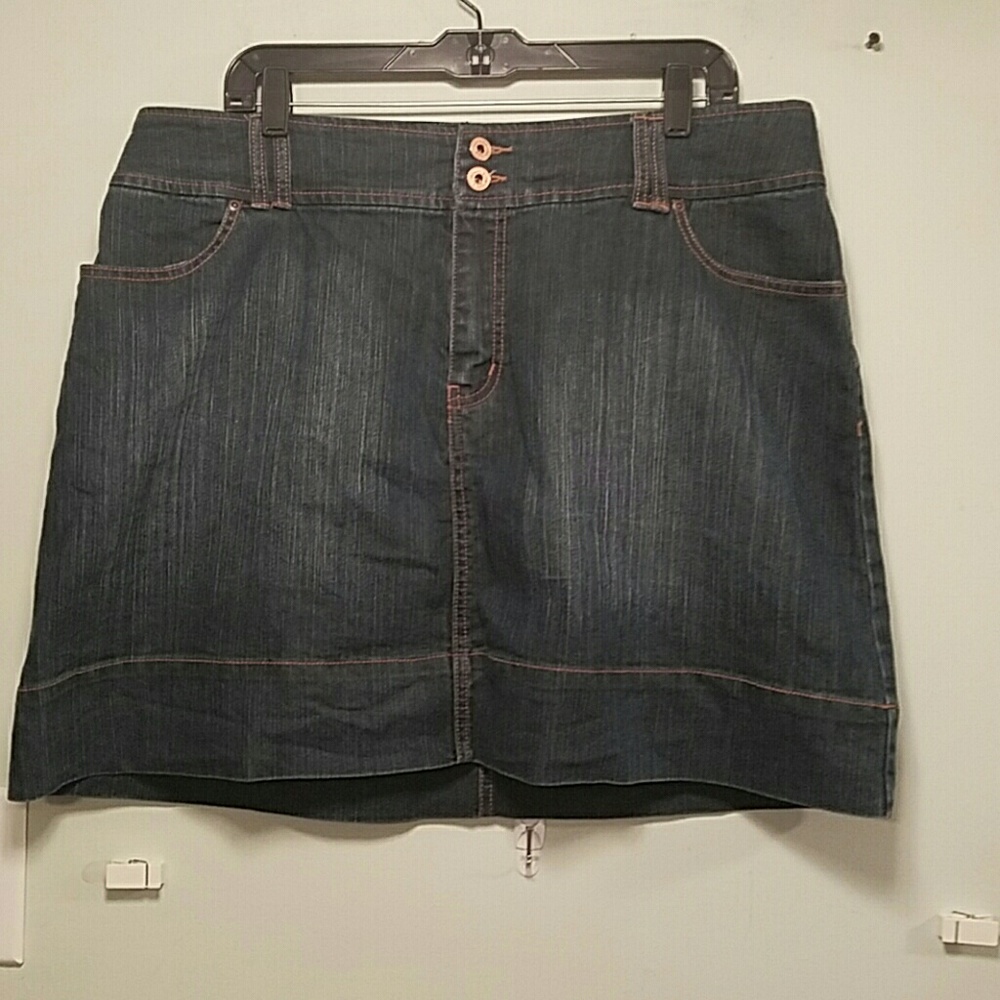 Lane Bryant Skirt