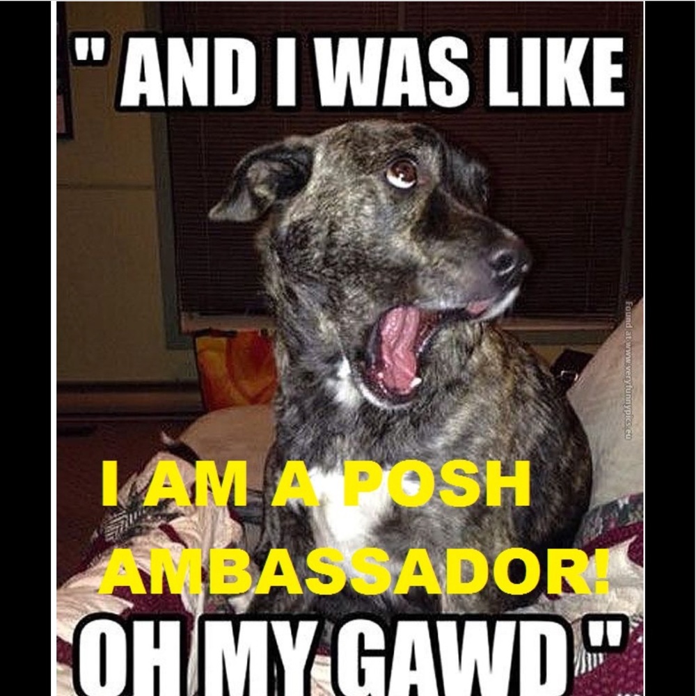 Your order will not be "ruff" with me...