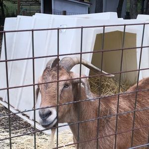 Meet your Posher, Nikki