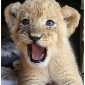 Meet your Posher, Gilberto