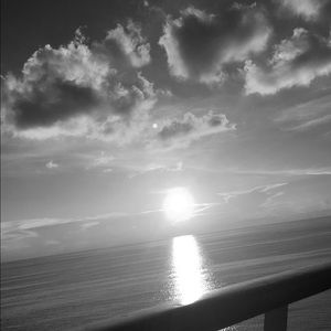 Meet your Posher, Chandler