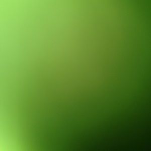 Meet your Posher, Gannon