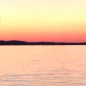 Meet your Posher, Lilie