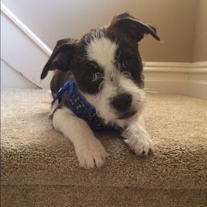 Meet your Posher, Renee