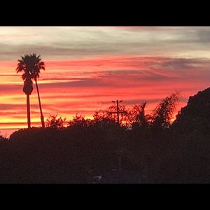 Meet your Posher, Dennis