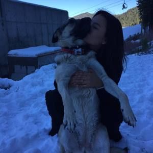 Meet your Posher, Gerlee