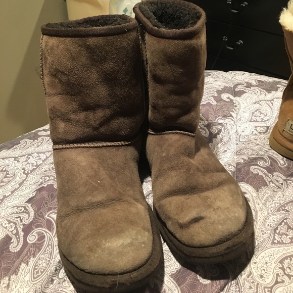 UGG Shoes Chocolate Colored Classic Short Uggs Poshmark