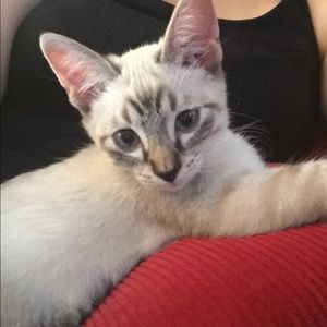 Meet your Posher, Sara