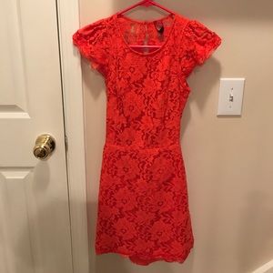 Lace Dress