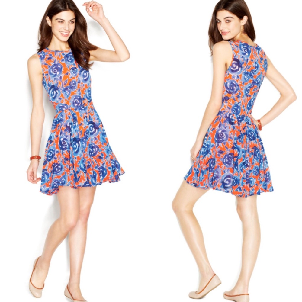 Coral and Blue Chiffon Floral Fit & Flare