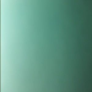 Meet your Posher, Ervin