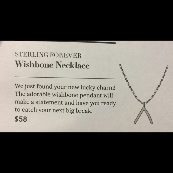 Sterling Forever Wishbone Necklace - Picture 4 of 7