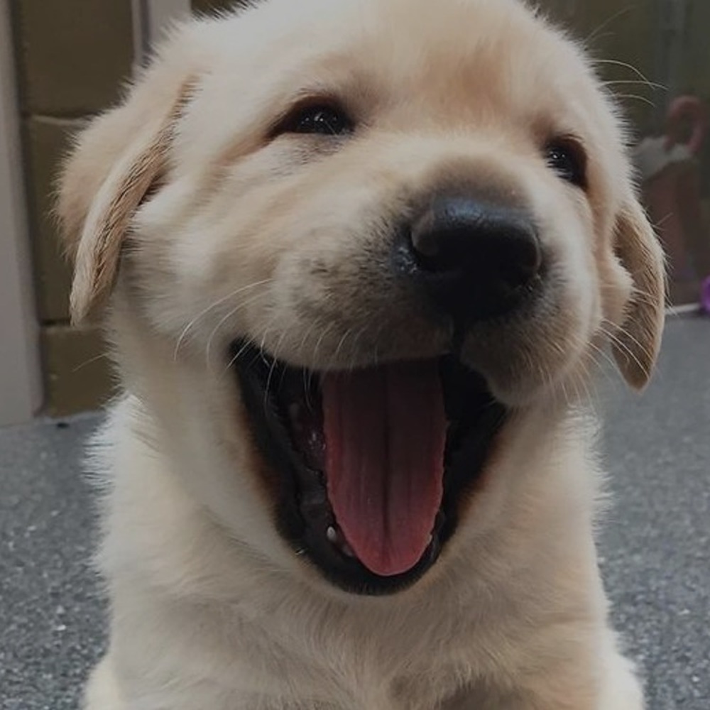 Meet your Posher, Marilyn