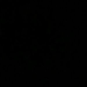 Meet your Posher, Jackson