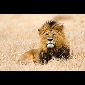 Meet your Posher, Snehal