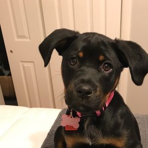 Meet your Posher, Jessica