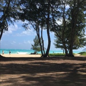 Meet your Posher, Lili