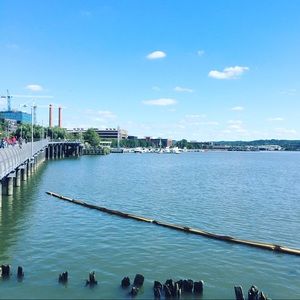 Meet your Posher, Greg