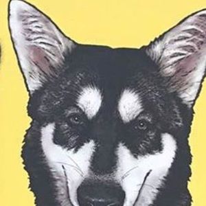 Meet your Posher, Jess