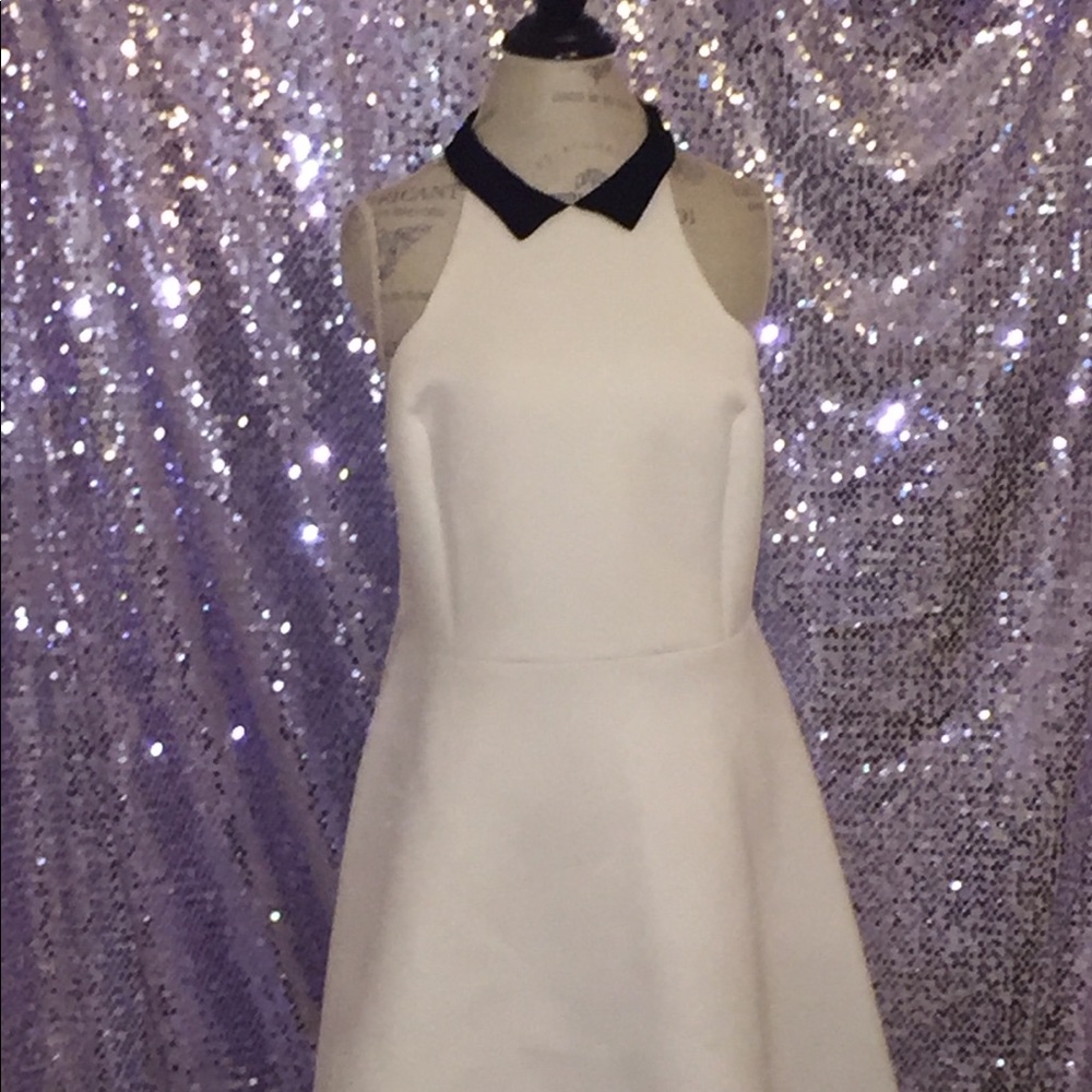 Charlotte Russe Collared Skater Dress