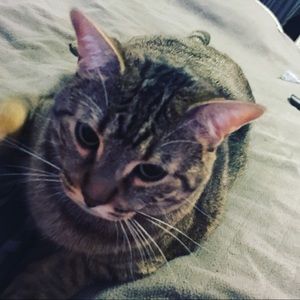 Meet your Posher, Jonathan