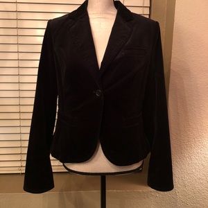The Limited velvet blazer. NWOT