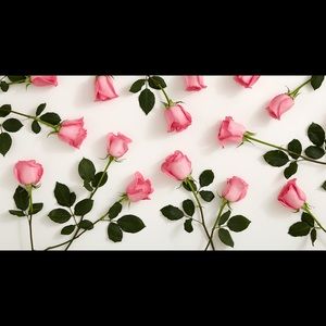 Meet your Posher, Jasmin