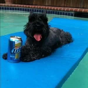 Meet your Posher, Chad