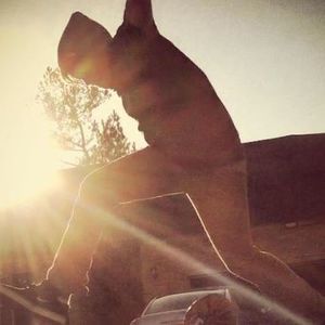 Meet your Posher, Jake