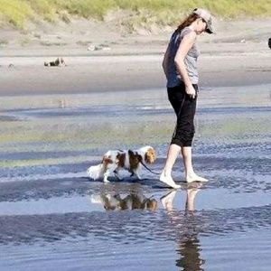 Meet your Posher, Jen