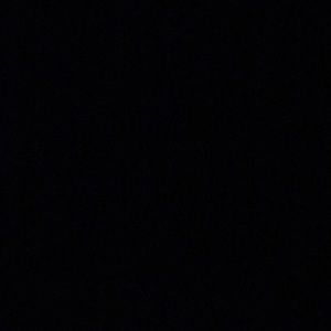 Meet your Posher, Taneisha