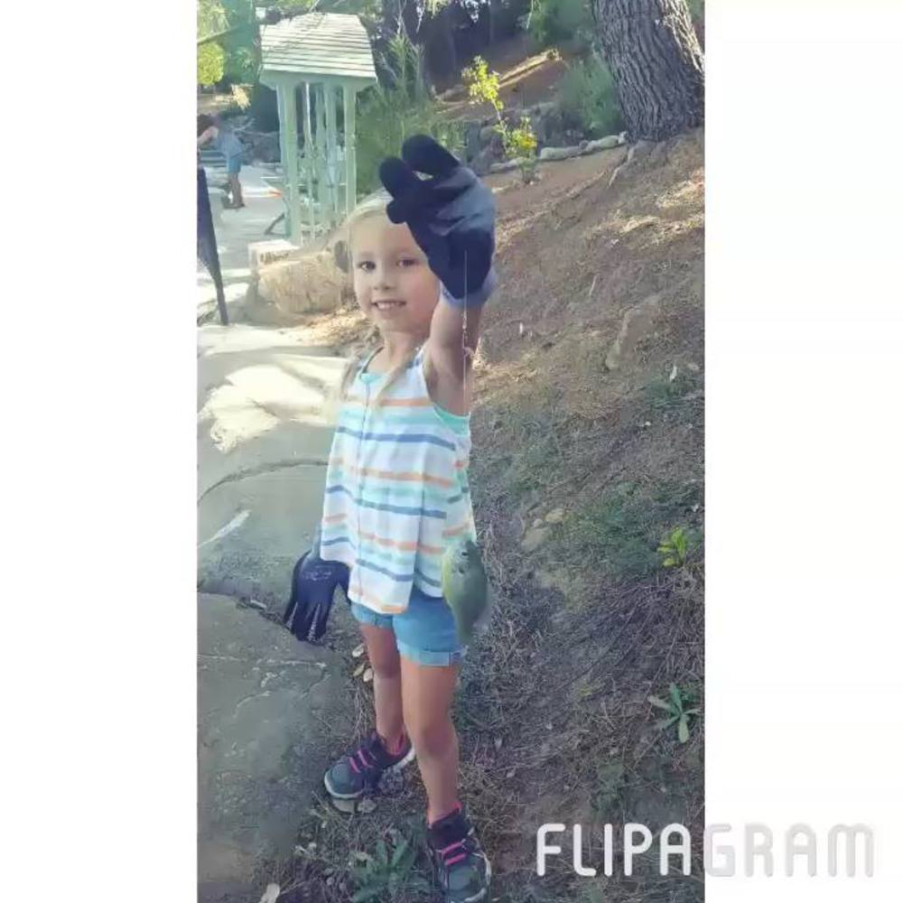 Meet your Posher, Alixx