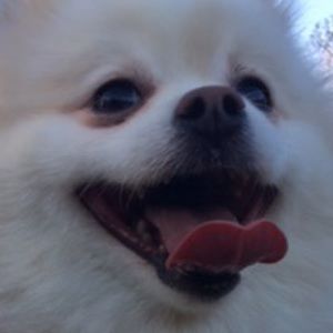 Meet your Posher, Cindy