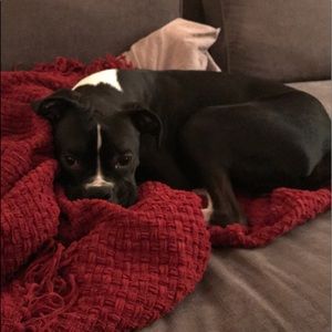 Meet your Posher, Hanna